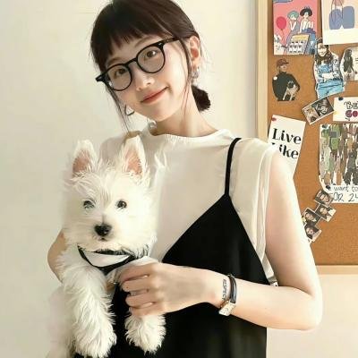 酱狗 海报